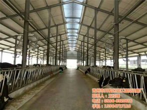 青州市開發(fā)區(qū)潤(rùn)江溫控設(shè)備廠 一站式畜牧環(huán)境溫控解決方案專家
